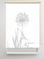 Preview: Rollo Allium 24 blanco lichtgrau, Rollo, Motivrollo, Rollo mit Druck, Fotorollo, bedrucktes Rollo, Fensterrollo,verdunkelndes Rollo, Sonnenschutz Rollo